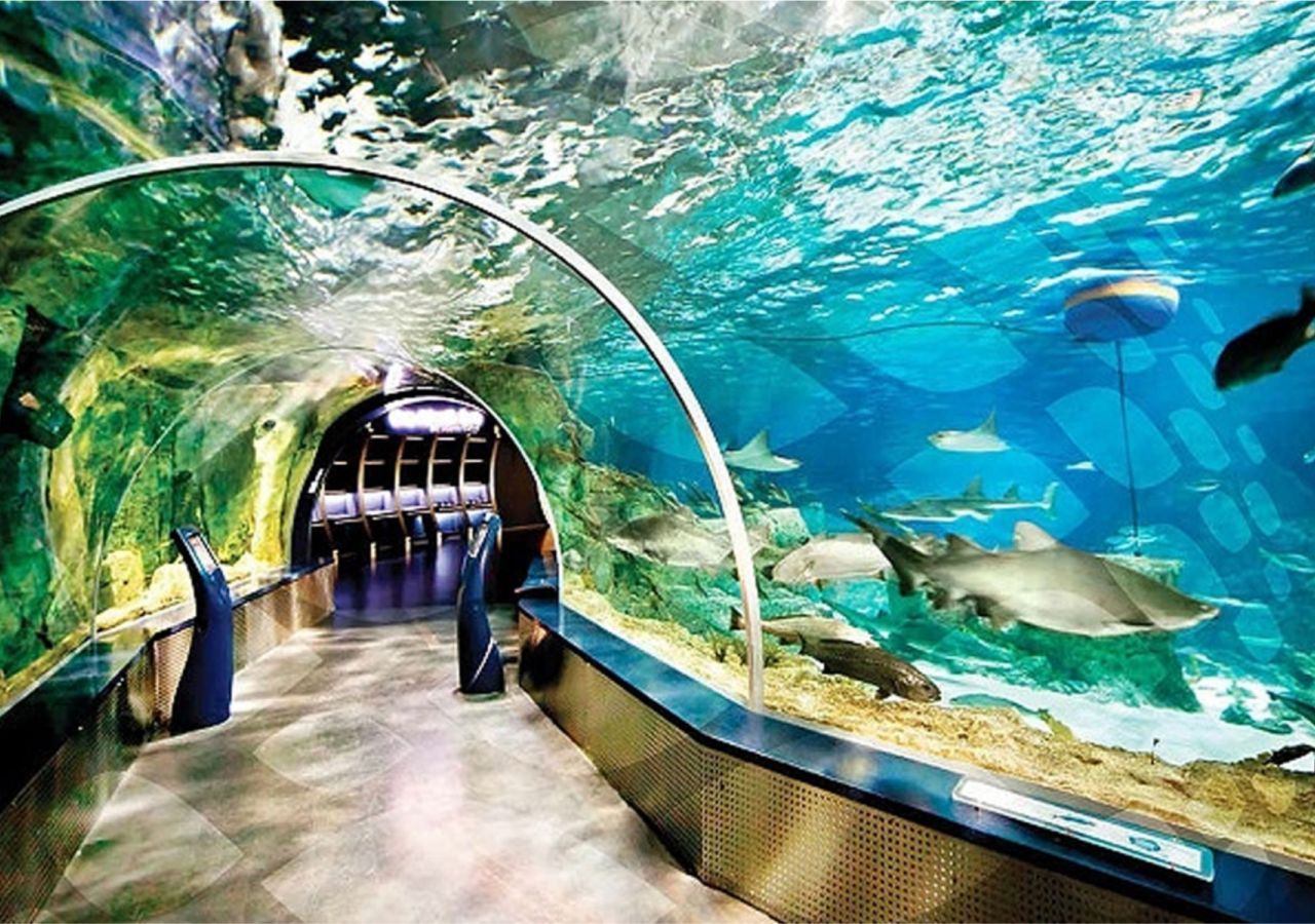 Стамбульский аквариум - Трансфер+Билеты